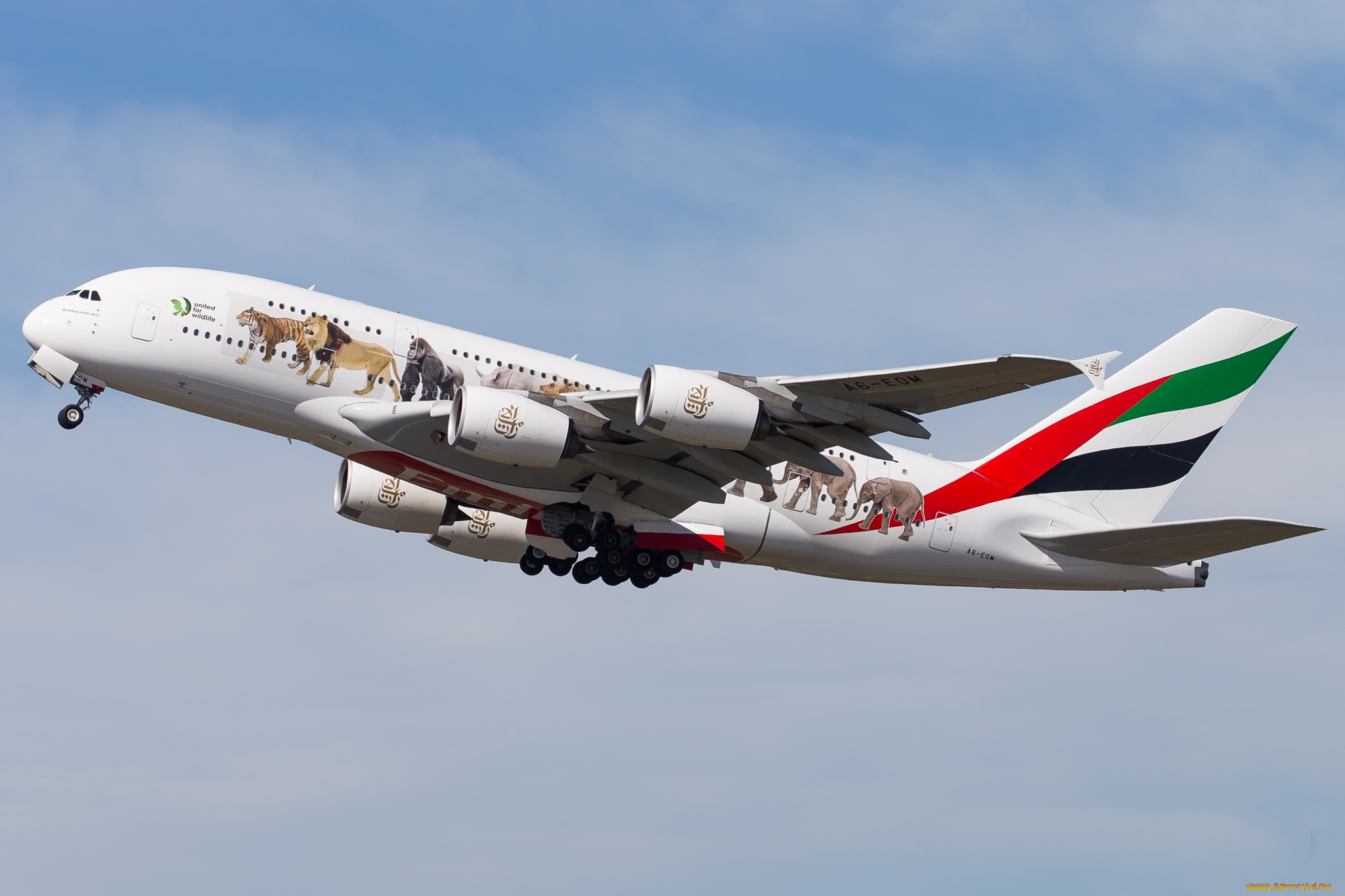 airbus a380 a6-eom, ,  , 